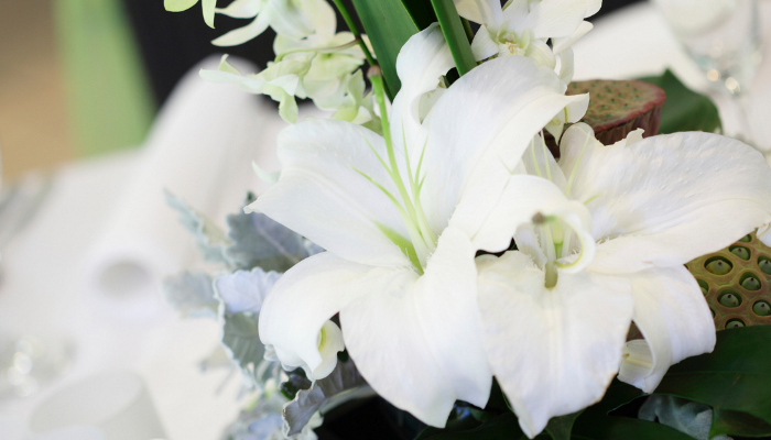 Moore Place Hotel Wake Service