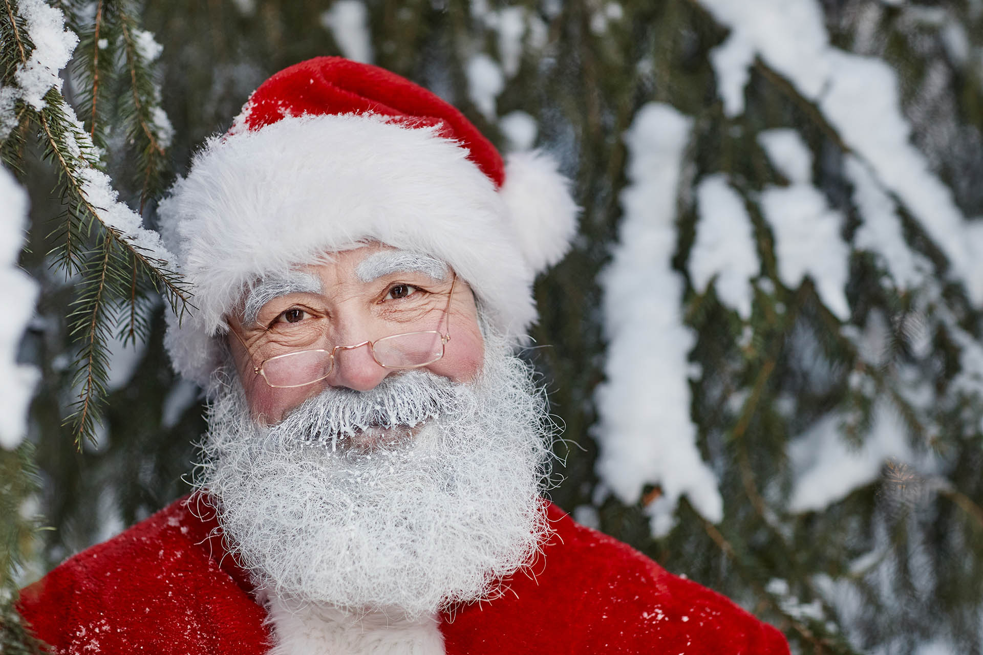 Father Christmas at Vine hotels