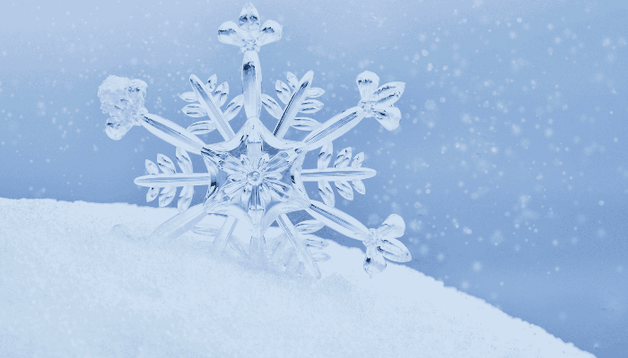 Festive Family Events Sheffield