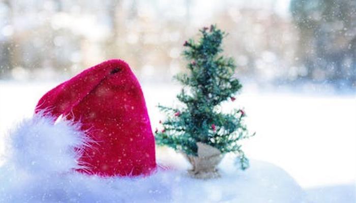 Mosborough Hall Santa Frozen Party