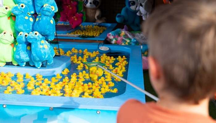 Mosborough Hall Sheffield Summer Fayre