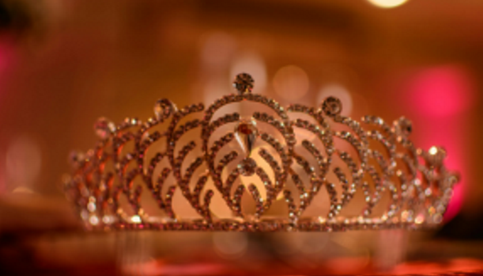 Princess Ball Sheffield Mosborough Hall Hotel