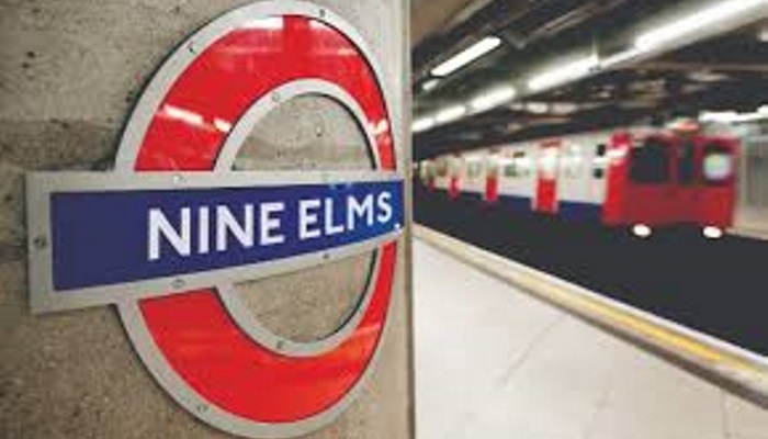 nien elms (1)