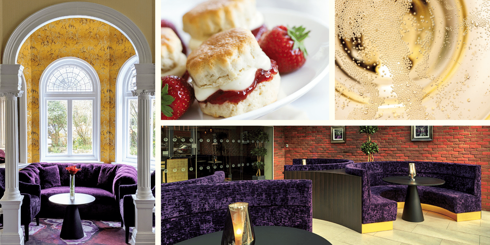 Martello Bay Tree Bar Afternoon Tea Folkestone