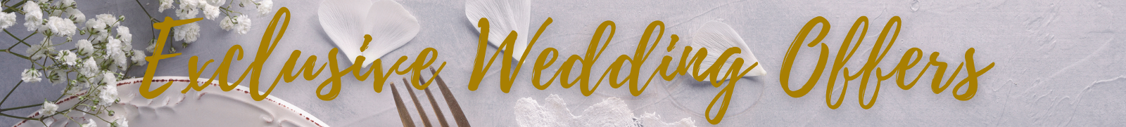 Exclusive Wedding Offers Page Header
