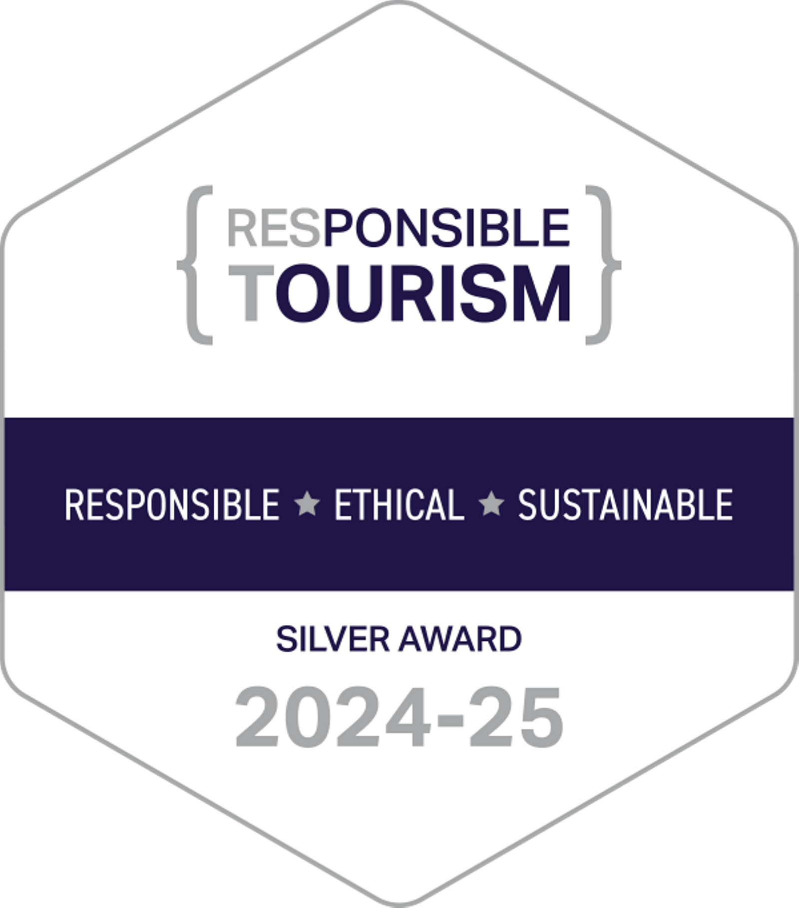 gtbs generic silver (2)