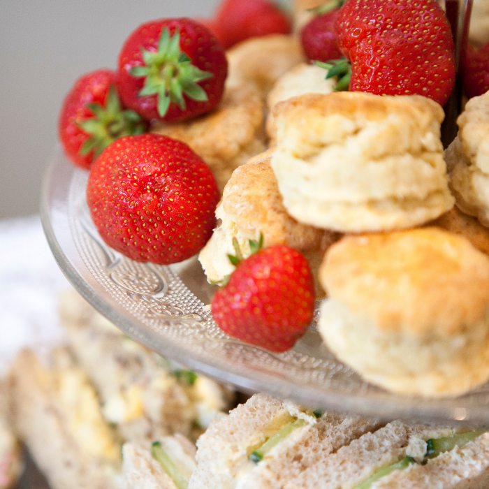 2024 WEBSITE SQUARE IMAGE (6)