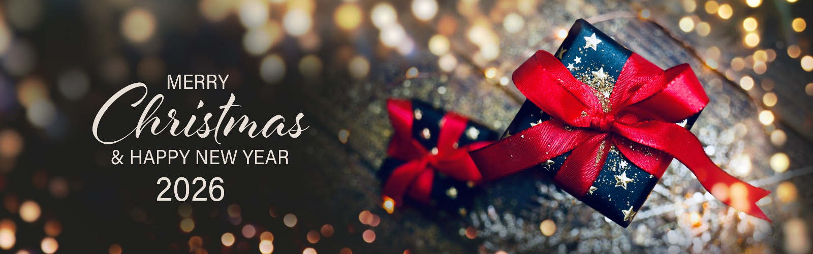 Merry Christmas and Happy New Years 2026