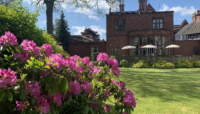 Viw to Terrace Room with flowers 2