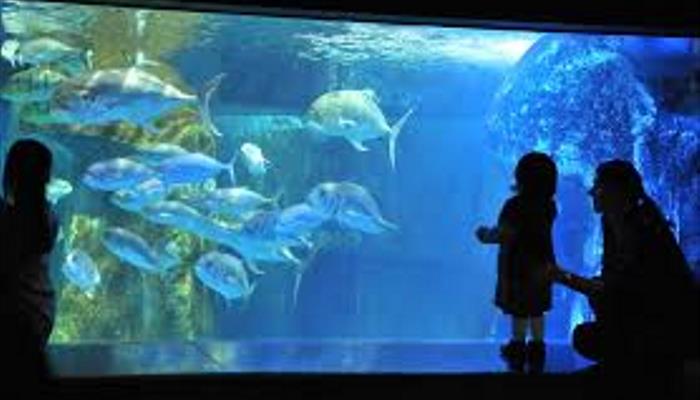 london-aquarium