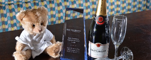 MHMP Ullesthorpe Court Hotel Best Customer Experience Large Award2