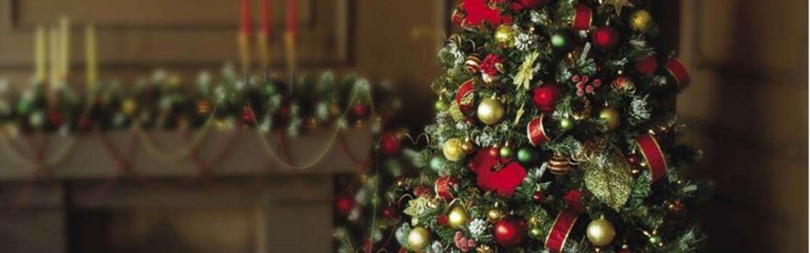 festive table set for lunch