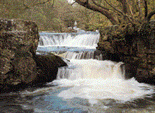 Horseshoe Falls