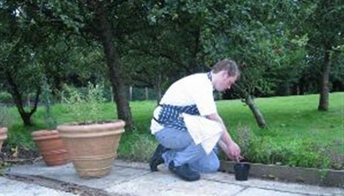 Herb Garden and Fruit Trees_690x525 Herb Garden and Fruit Trees_690x525