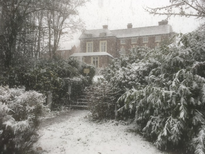 SNOW1