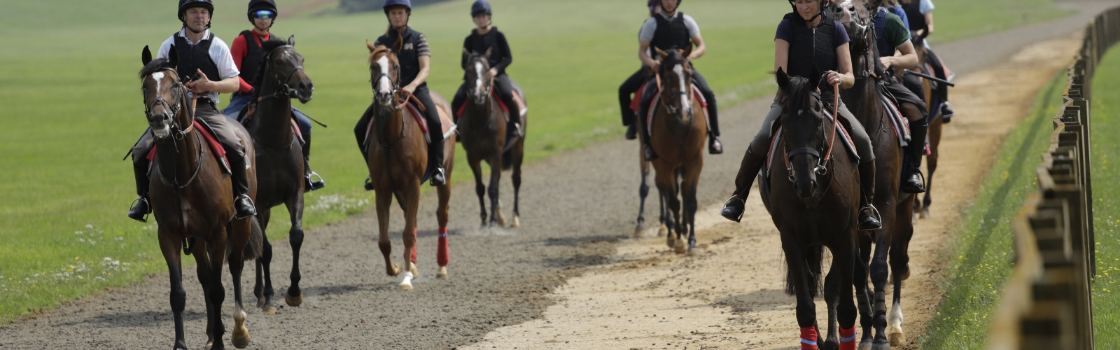 Welcome to the Heath Court Hotel