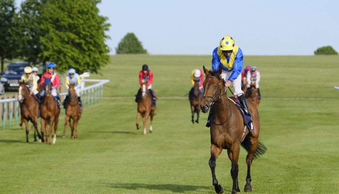 Branding_b 17.05.2018