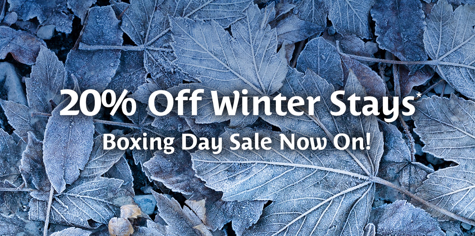 Boxing Day Sale