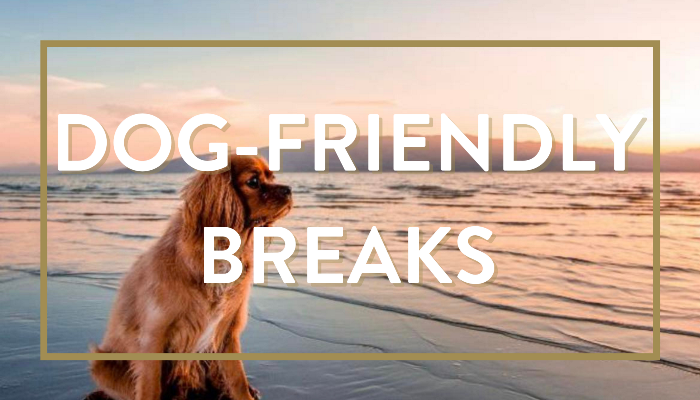 York House Hotel Eastbourne Dog Friendly