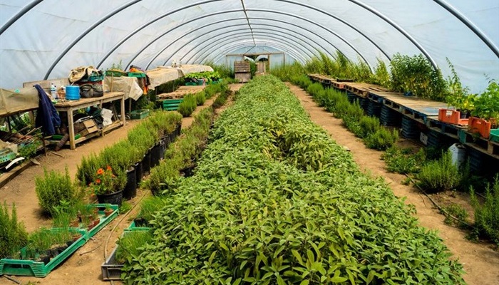 Chegworth 22_800x533