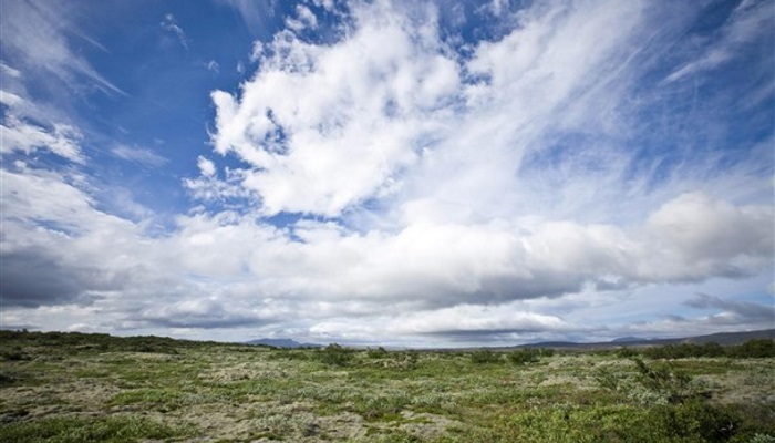 iStock_000004040396Large_608x405 (10)