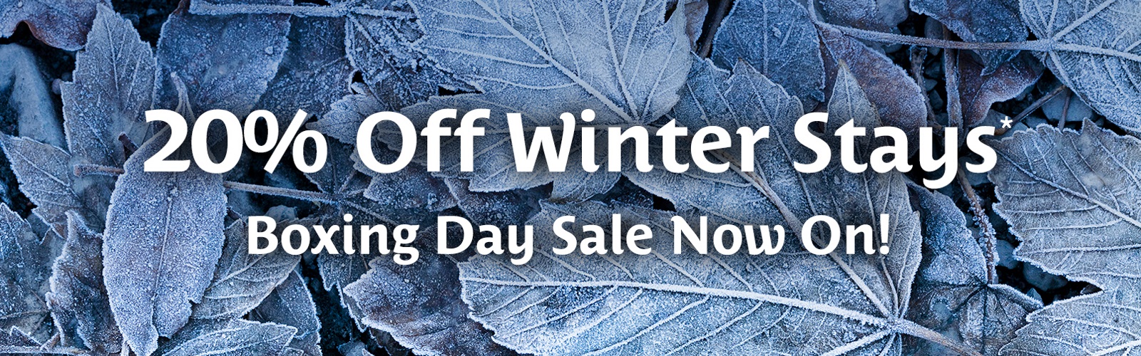 Best Western Boxing Day Sale