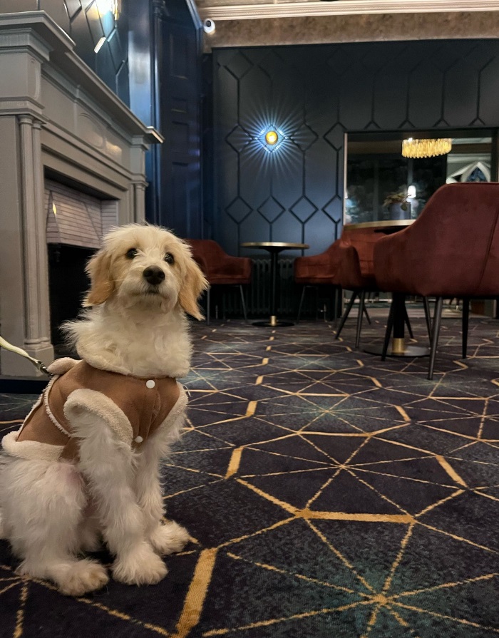 Abbots Barton Hotel Dog Friendly Hotel Canterbury